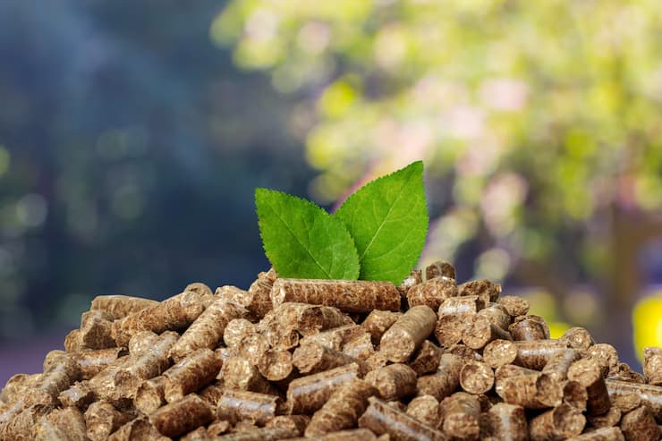 کود مرغی طبیعی پشتیبان تعادل زیستی خاک و افزایش سطح کیفی